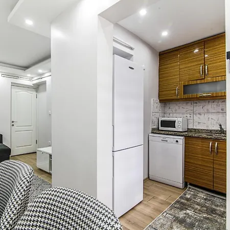 Comfortable Flat With Central Location In Beyoglu Istanbul