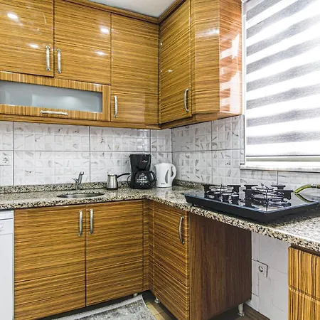 Comfortable Flat With Central Location In Beyoglu Appartement Istambul